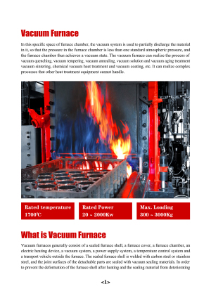 Vacuum Furnace