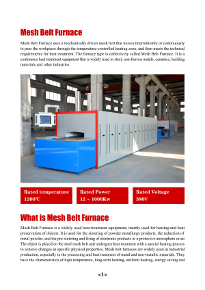 Mesh Belt Furnace