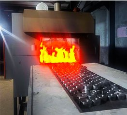 Mesh Belt Furnace